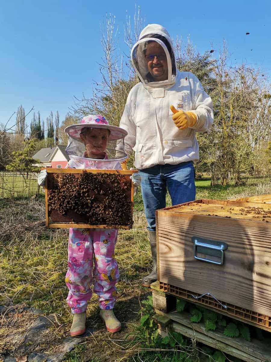 Découverte d’un cadre d’abeilles au rucher avec Christophe Plouviez